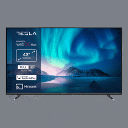 TESLA TV 43E645BFW FHD WebO