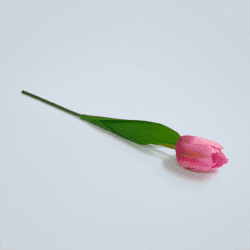 TULIPANI PVC