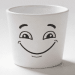 SAKSIJA 870/09 CACTUS GARDEN